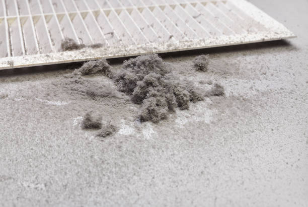 Best Air Duct Inspection  in Knoxville, TN