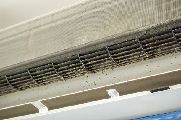 Best Dryer Vent Cleaning Services  in Knoxville, TN